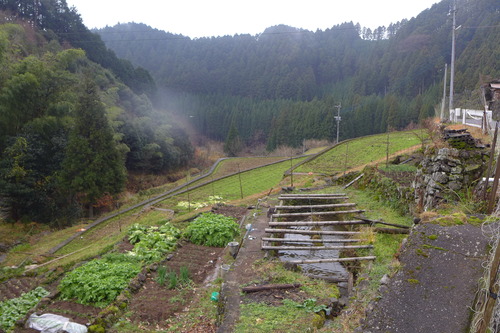 P1520551