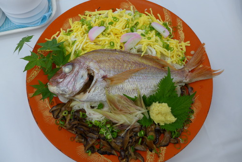 P1090574 のコピー