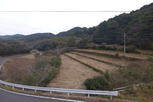 P1430829