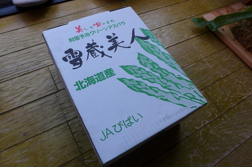 P1100291