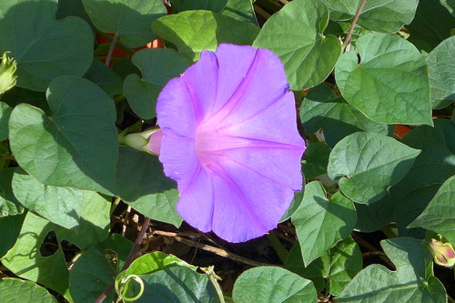 P1270886