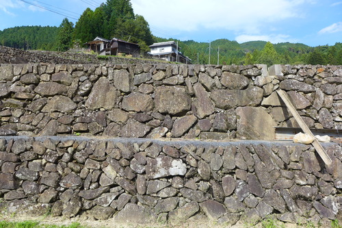 P1250791