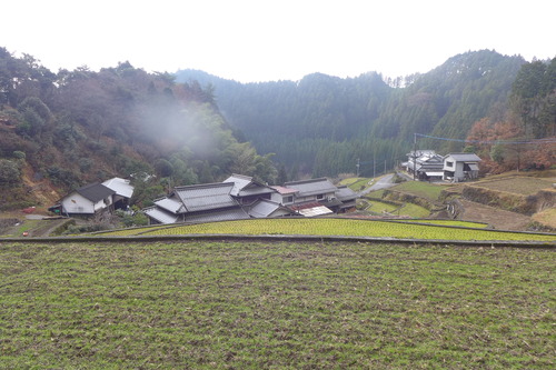P1520562