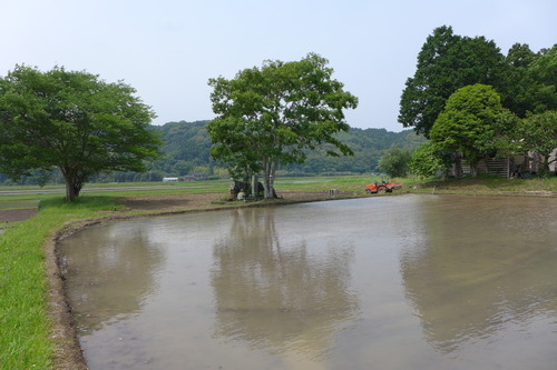 P1100805