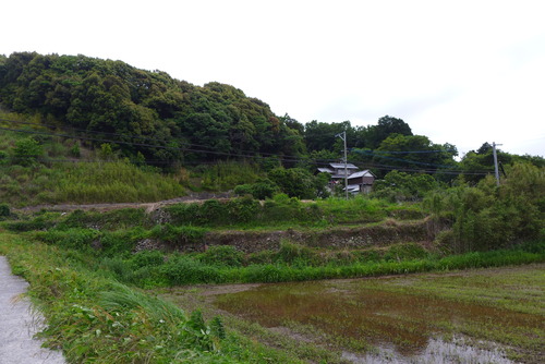 P1540032