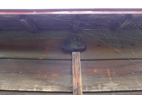 P1130019