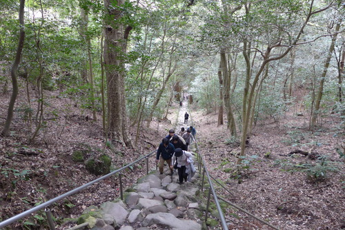 P1240482 のコピー