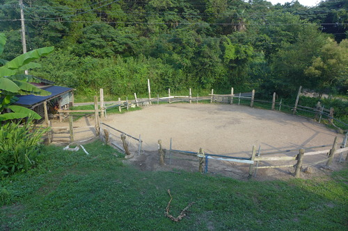 P1160701