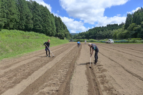 20250724岡大豆プロジェクトの種まき、久住農業高校田尻先生・高２匹田さん増島くん、桑島孝彦さん・高３こころくん、瀧下雅幸さんと取り組みました！