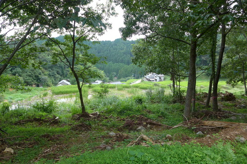 P1200258