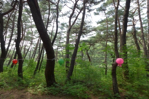 P1000437
