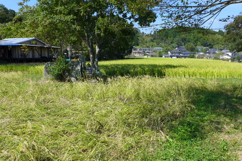 P1180953