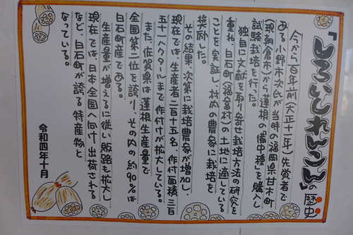 P1240322