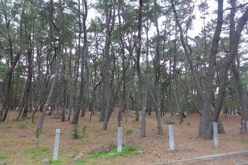 P1070036