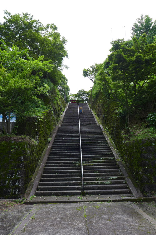 竹田市城下町のふだんの暮らしの魅力を廣瀬神社境内から俯瞰すれば・・・・