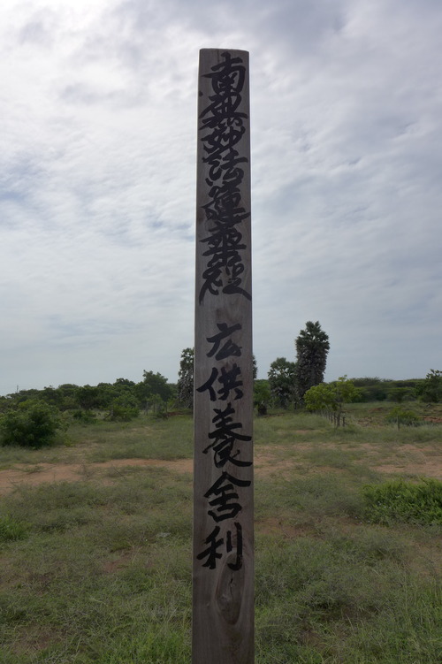 P1190966