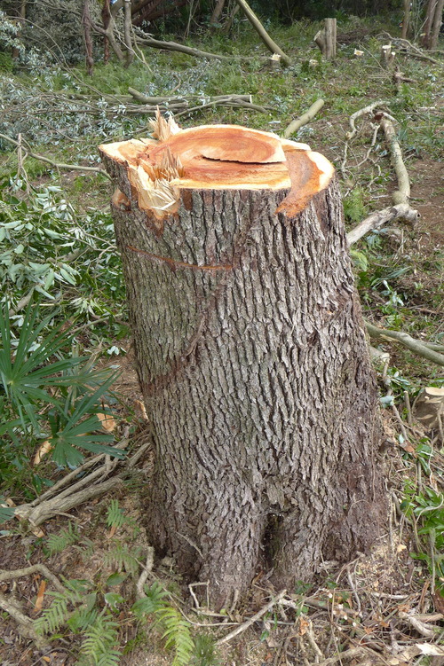 P1080249