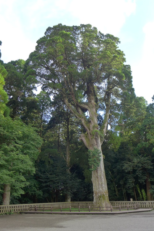 P1160143