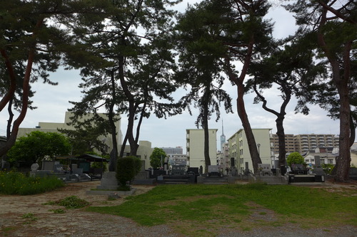 手を合わせて手向けつつ、お墓考現学！