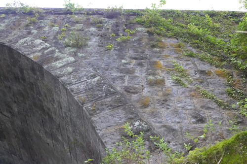 P1300569