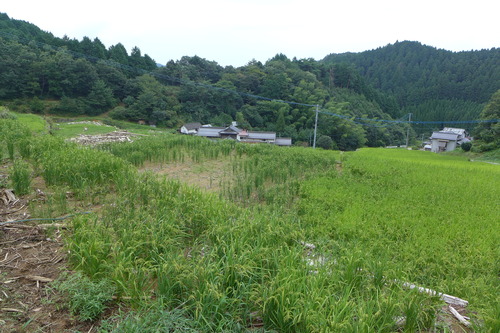 P1200263