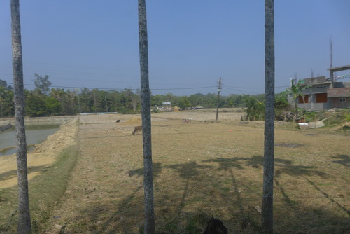 P1450617