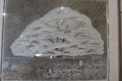 P1040977