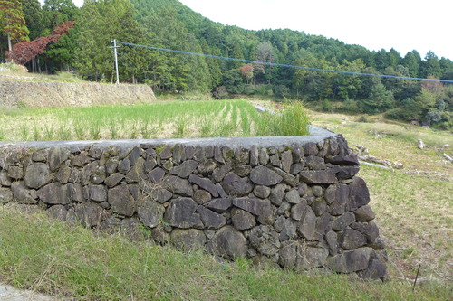 P1250880