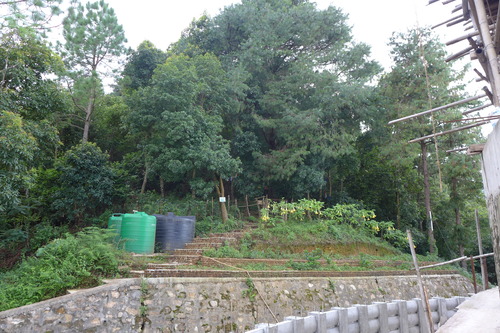 P1170318