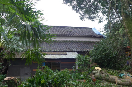 P1160823