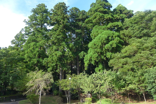 P1160117