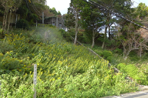 P1500049