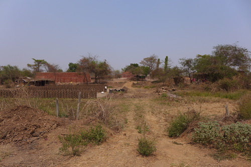 P1490984