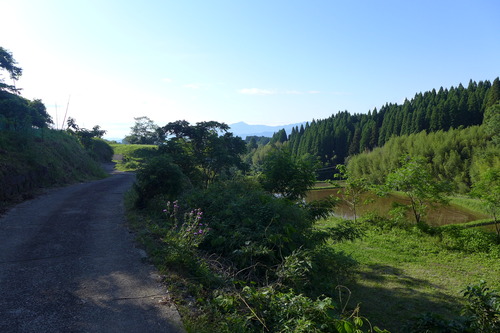 P1150852