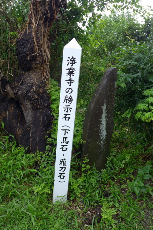 P1150733