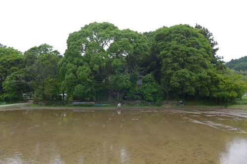P1100896