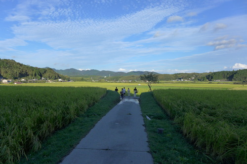 P1180272