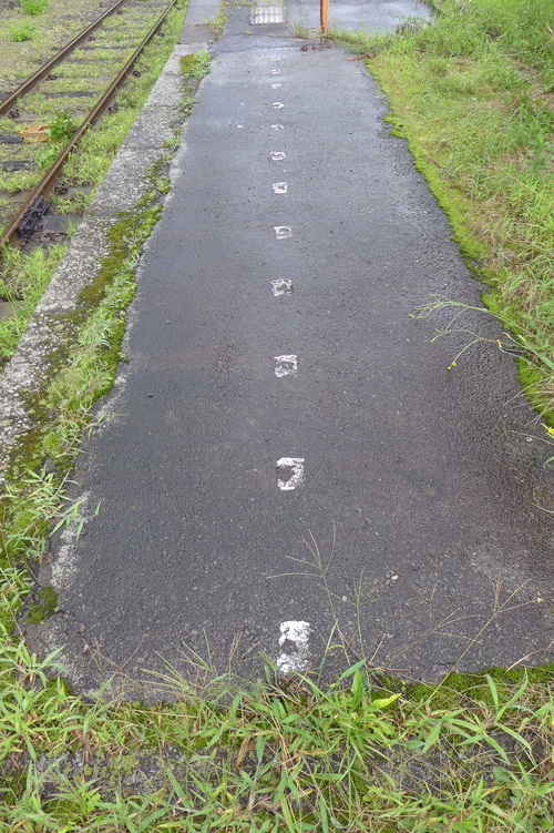 P1300197