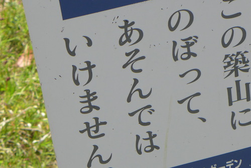 P1040827