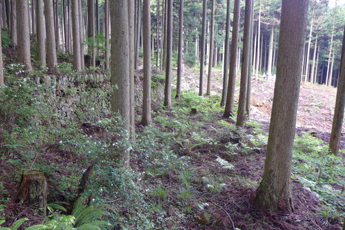 P1140070