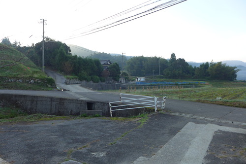 P1180680