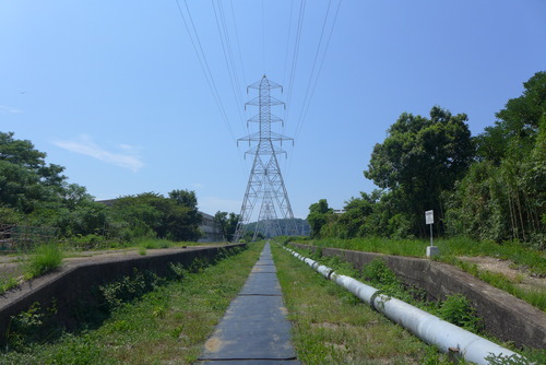P1170818