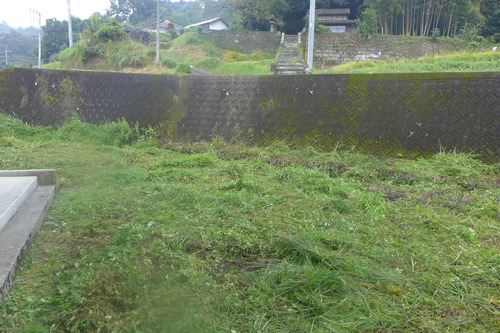 P1340589