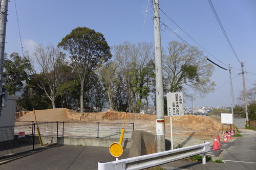 P1100195