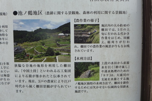 P1520542