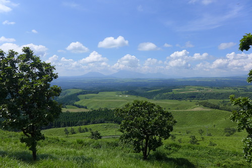 P1300905