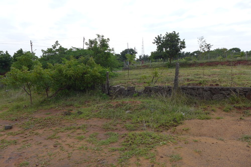 P1190918