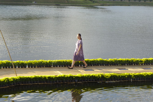 P1530397