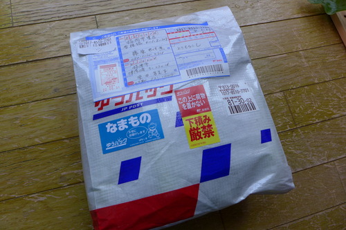 P1100295