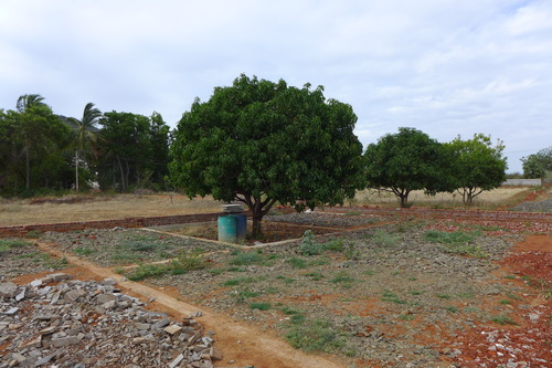 P1200120